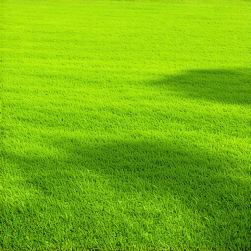 Modern Lawn Care & Landscape Tips for 2025 Success