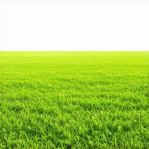 The Real Reason Your Grass Dies Every August