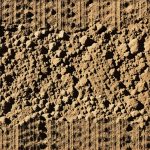 Why Your 2026 Grass Seed Isn't Growing [Soil Fix] - Lawn Majesty