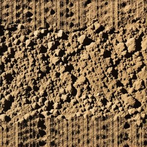 Why Your 2026 Grass Seed Isn't Growing [Soil Fix] - Lawn Majesty